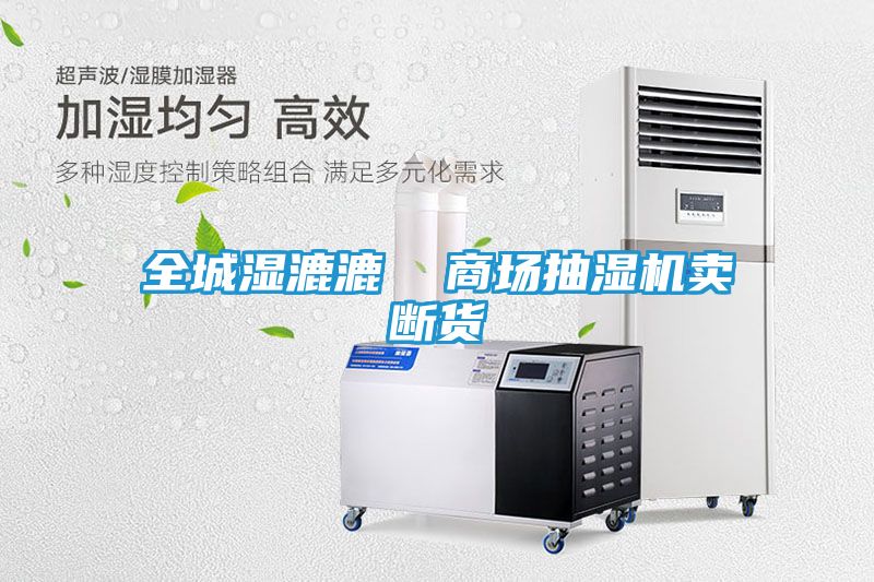 全城湿漉漉  商场抽湿机卖断货