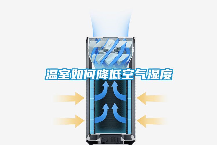 温室如何降低空气湿度