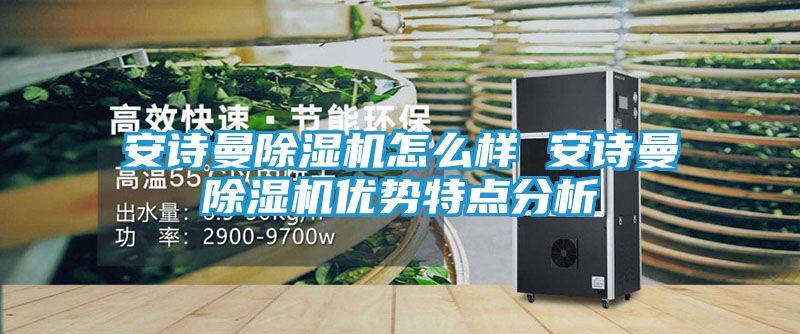 安诗曼除湿机怎么样 安诗曼除湿机优势特点分析