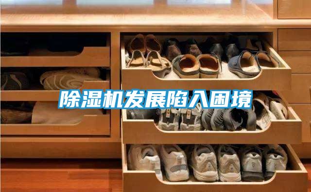 除湿机发展陷入困境