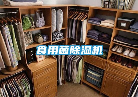 食用菌除湿机