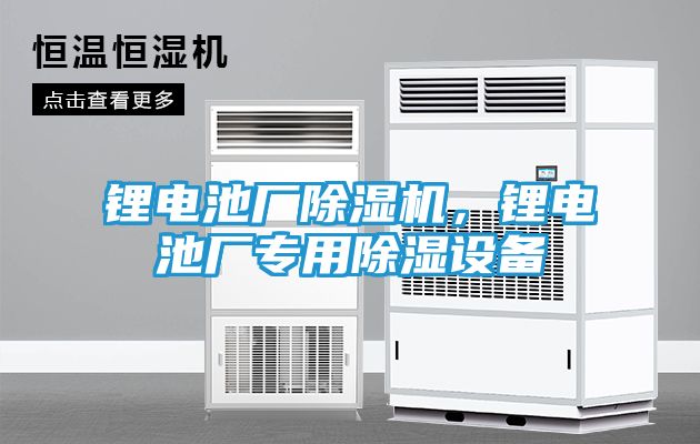 锂电池厂除湿机,锂电池厂专用除湿设备