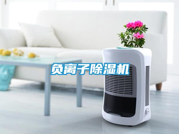 负离子除湿机