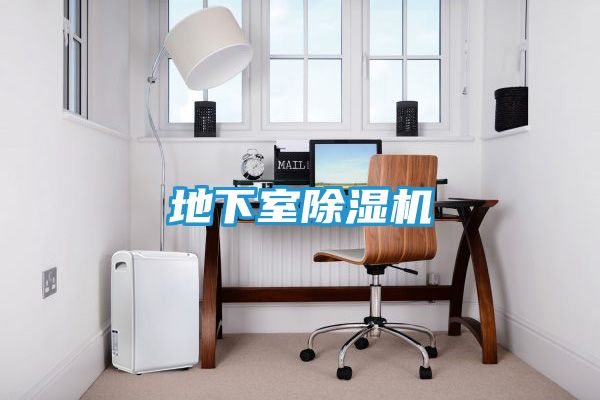 地下室除湿机