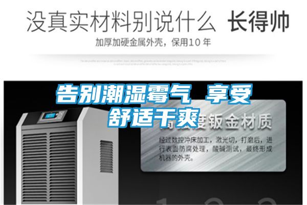 告别潮湿霉气 享受舒适干爽