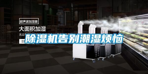 除湿机告别潮湿烦恼