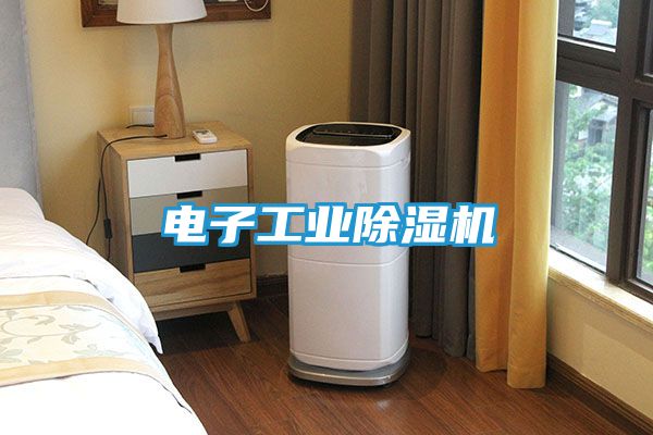 电子工业除湿机