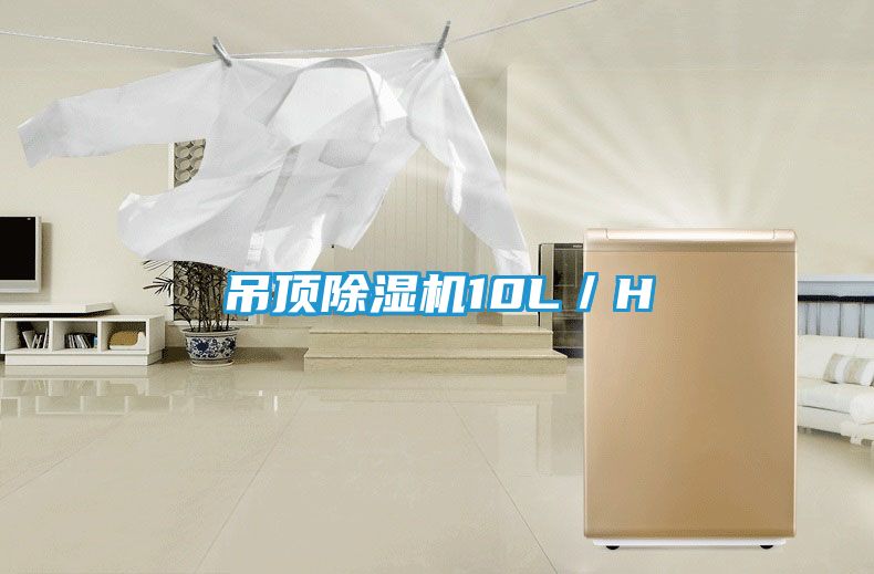 吊顶除湿机10L／H