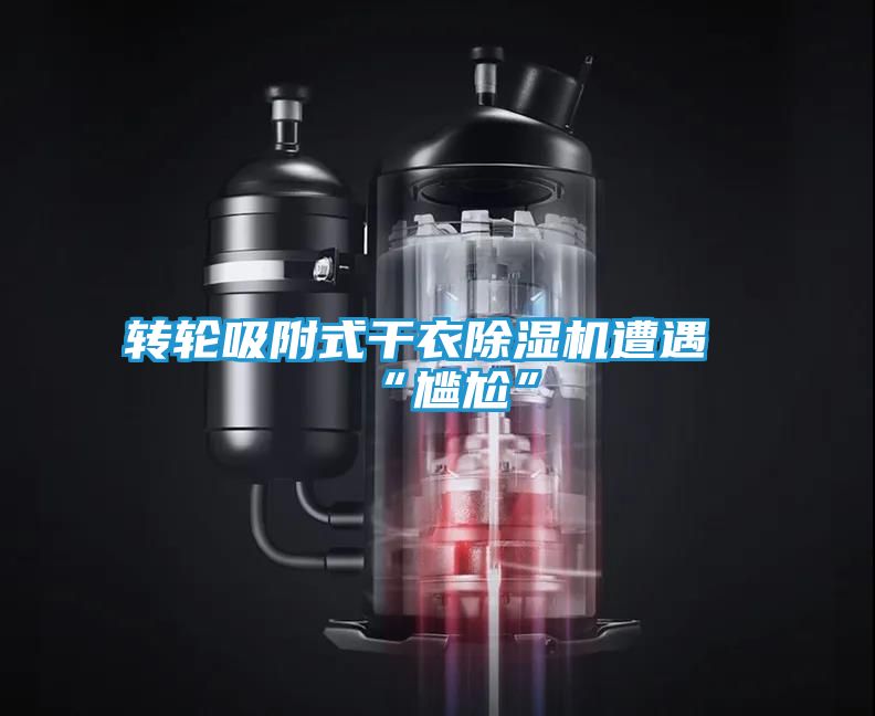 转轮吸附式干衣除湿机遭遇“尴尬”