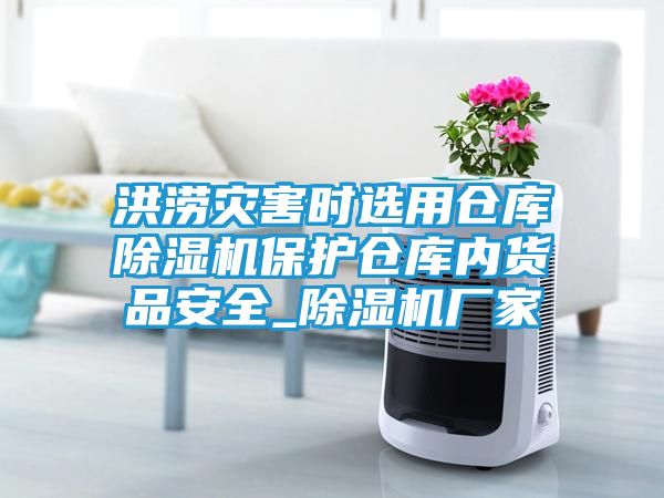 洪涝灾害时选用仓库除湿机保护仓库内货品安全_除湿机厂家