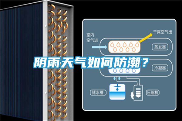 阴雨天气如何防潮？