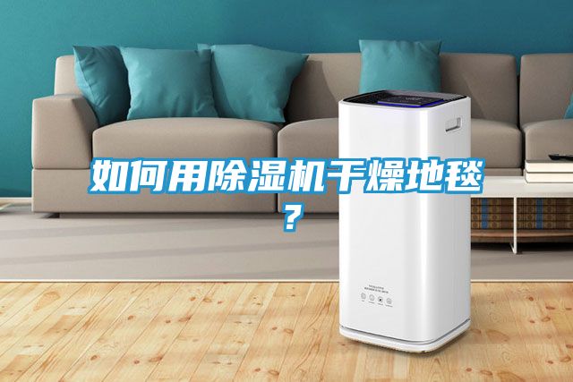 如何用除湿机干燥地毯？