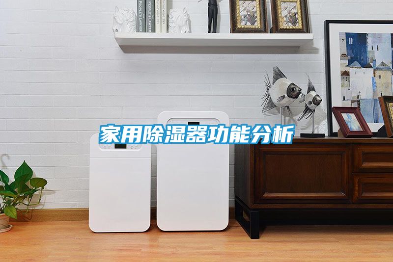 家用除湿器功能分析