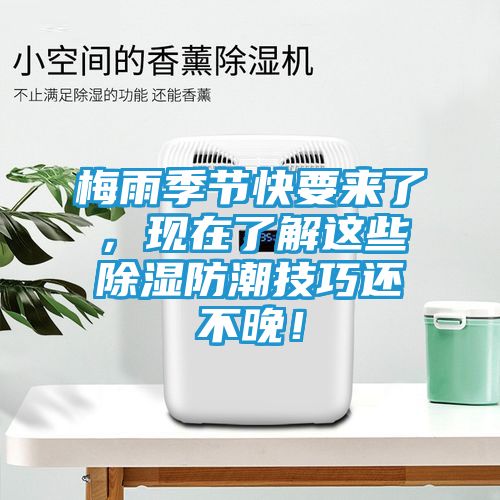 梅雨季节快要来了，现在了解这些除湿防潮技巧还不晚！