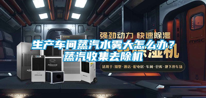 生产车间蒸汽水雾大怎么办?蒸汽收集去除机