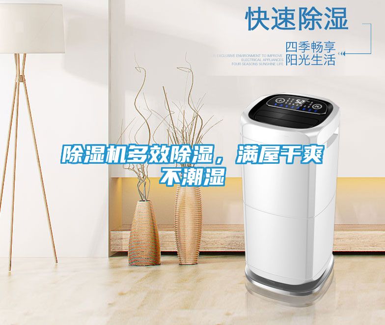 除湿机多效除湿，满屋干爽不潮湿