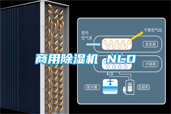商用除湿机 NLD