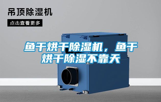 鱼干烘干除湿机，鱼干烘干除湿不靠天