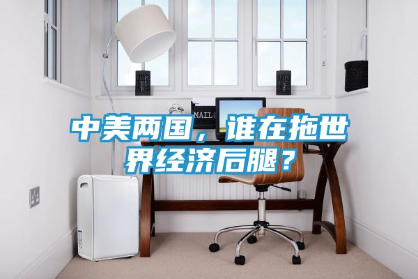 中美两国，谁在拖世界经济后腿？