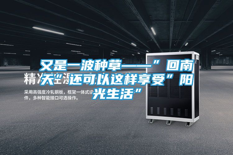 又是一波种草——”回南天”还可以这样享受”阳光生活”