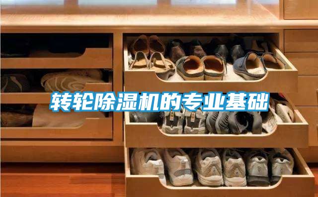 转轮除湿机的专业基础
