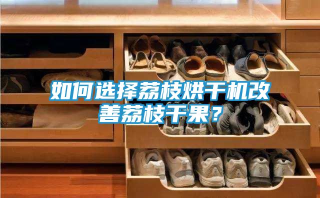 如何选择荔枝烘干机改善荔枝干果？