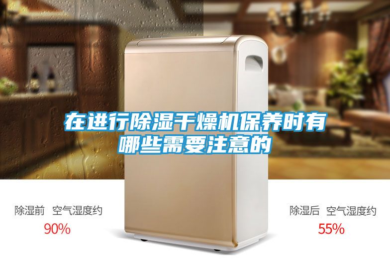 在进行除湿干燥机保养时有哪些需要注意的