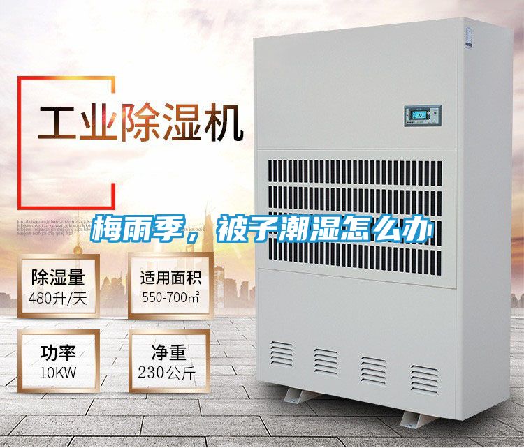 梅雨季,被子潮湿怎么办