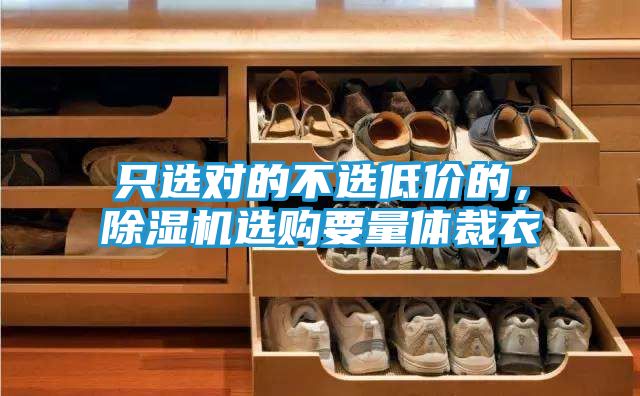 只选对的不选低价的，除湿机选购要量体裁衣