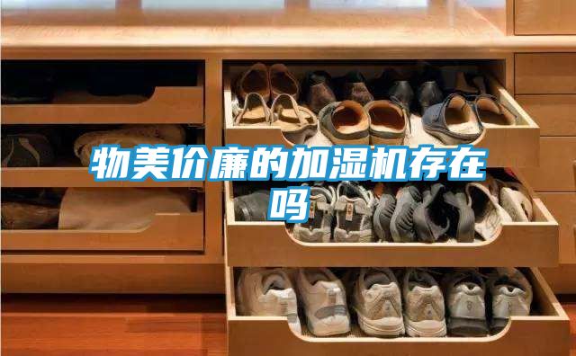 物美价廉的加湿机存在吗