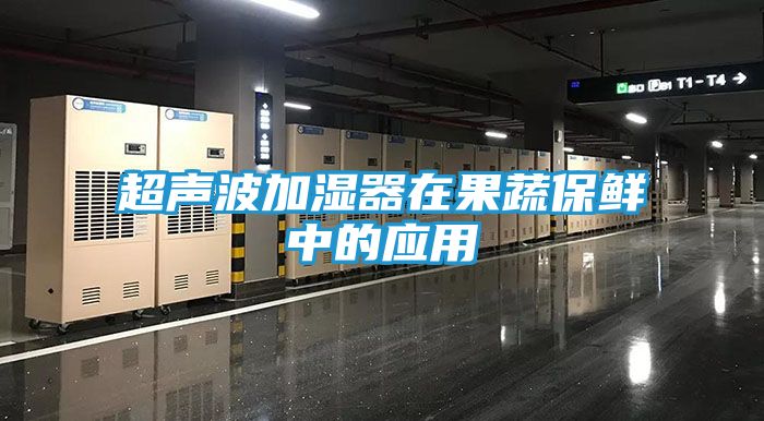 超声波加湿器在果蔬保鲜中的应用