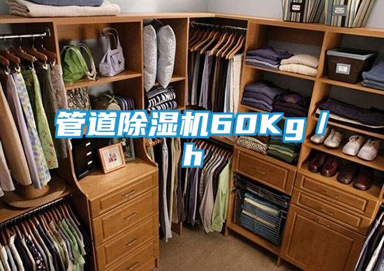 管道除湿机60Kg/h