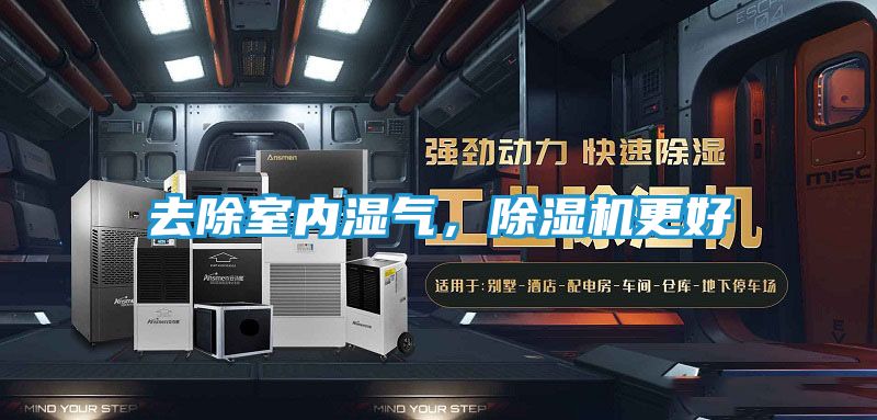 去除室内湿气,除湿机更好