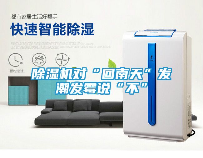除湿机对“回南天”发潮发霉说“不”