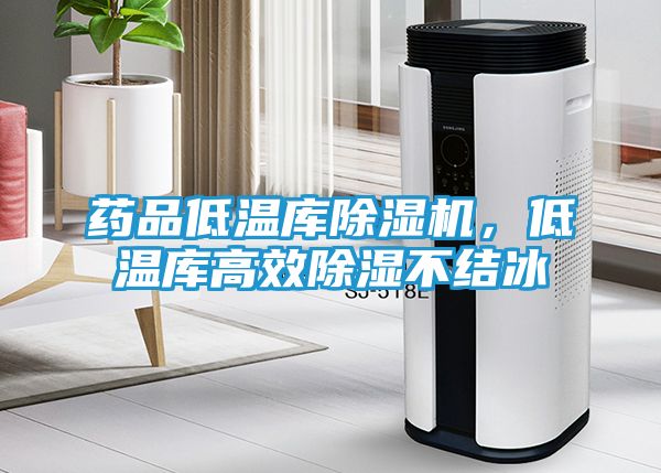 药品低温库除湿机，低温库高效除湿不结冰