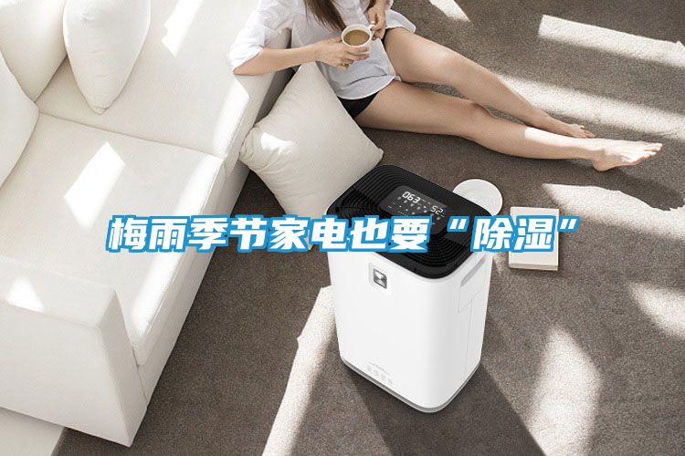 梅雨季节家电也要“除湿”