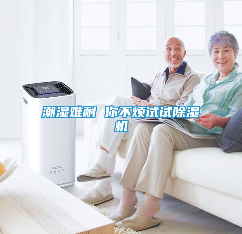潮湿难耐 你不烦试试除湿机