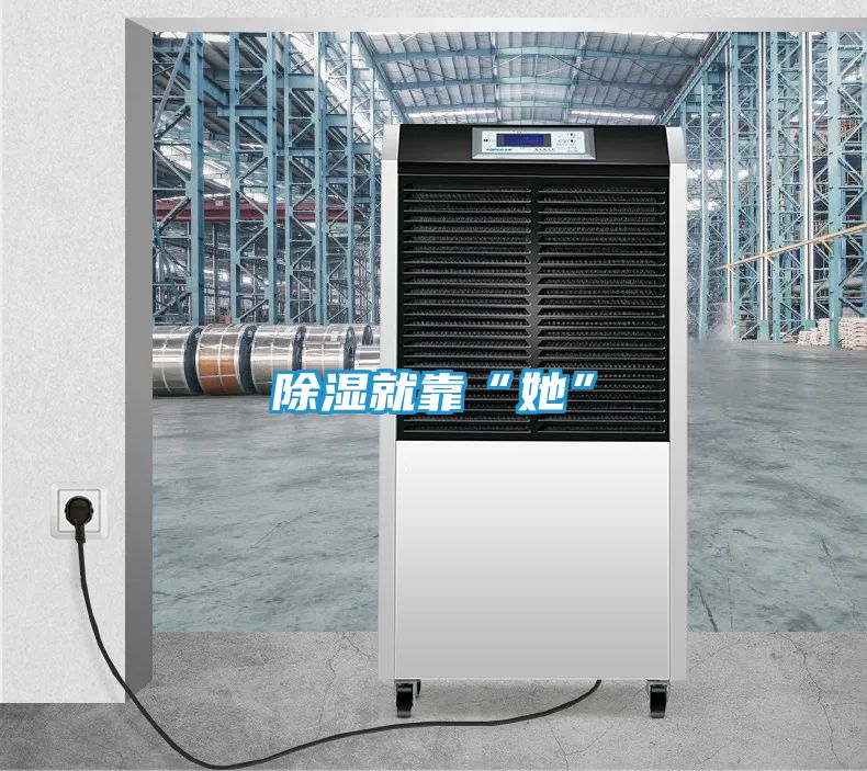 除湿就靠“她”