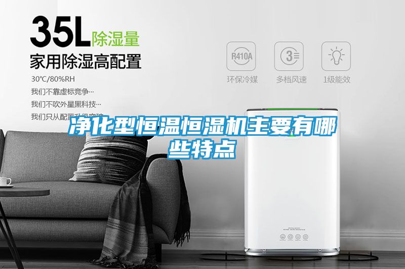 净化型恒温恒湿机主要有哪些特点