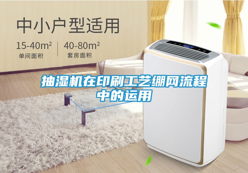 抽湿机在印刷工艺绷网流程中的运用