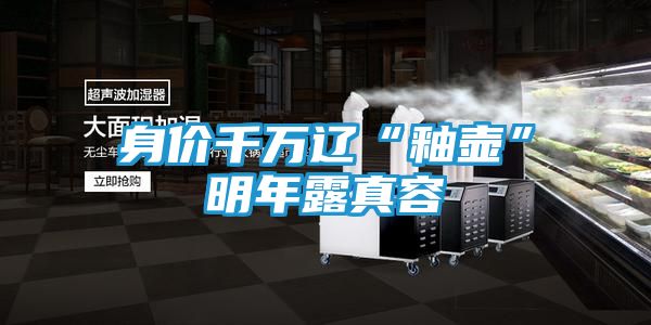 身价千万辽“釉壶”明年露真容