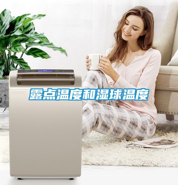 露点温度和湿球温度