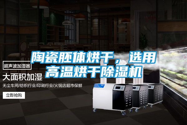 陶瓷胚体烘干,选用高温烘干除湿机