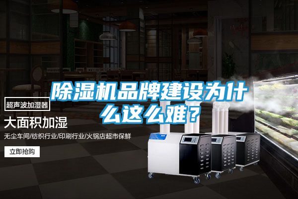 除湿机品牌建设为什么这么难？