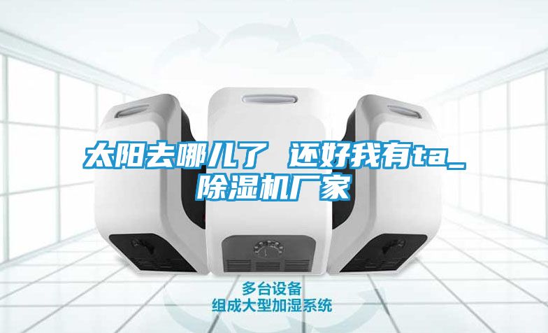 太阳去哪儿了 还好我有ta_除湿机厂家