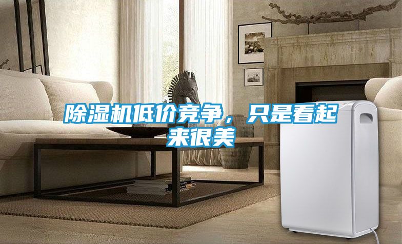 除湿机低价竞争，只是看起来很美