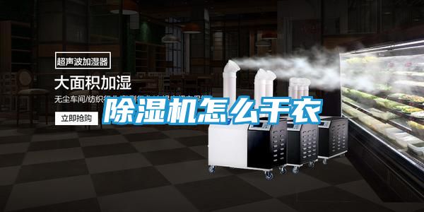除湿机怎么干衣