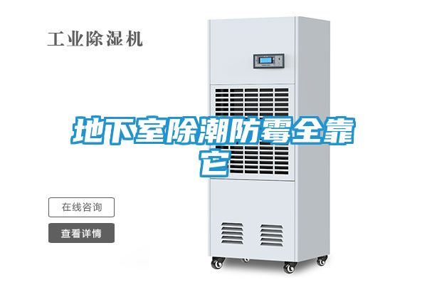 地下室除潮防霉全靠它