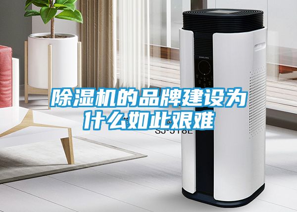 除湿机的品牌建设为什么如此艰难