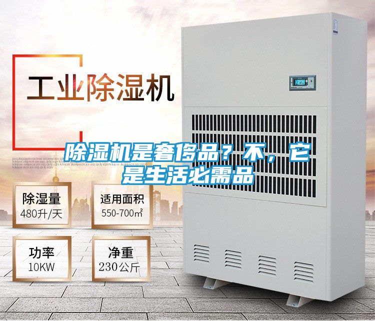 除湿机是奢侈品？不，它是生活必需品